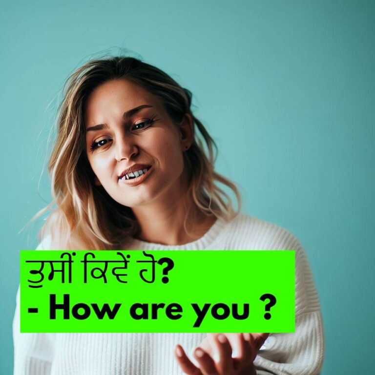 100-daily-use-sentences-punjabi-to-english-learn-punjabi-to-english